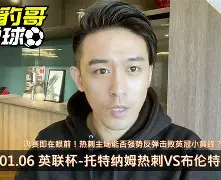 万博全站APP-问鼎冠军胜负难料冲刺阶段瓦伦西亚备战意大利杯，托特纳姆集结日临场应变都惊呆了的简单介绍